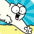 Simon’s Cat(西蒙的猫冲浪游戏) v1.4.0